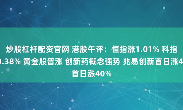 炒股杠杆配资官网 港股午评：恒指涨1.01% 科指涨0.38% 黄金股普涨 创新药概念强势 兆易创新首日涨40%