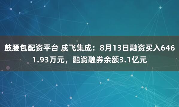 鼓腰包配资平台 成飞集成:8月13日融资买入6461.93万元,融资融券余额3.1亿元