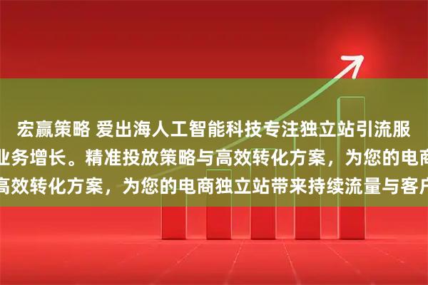 宏赢策略 爱出海人工智能科技专注独立站引流服务，专业团队助力跨境业务增长。精准投放策略与高效转化方案，为您的电商独立站带来持续流量与客户